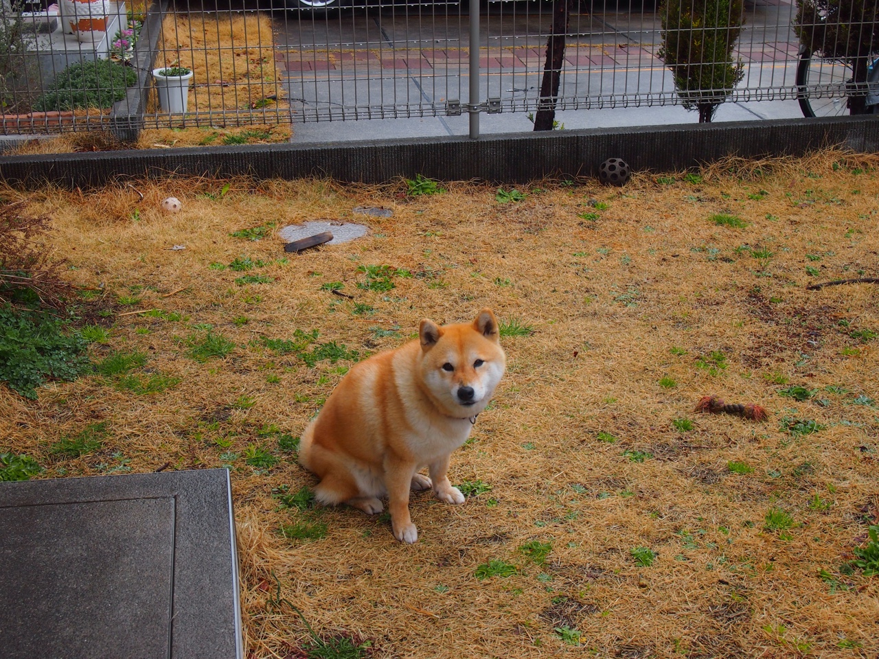 从防守铁闸到进攻发起点，凯塞多如何在对阵尼日利亚一役中定义现代中场核心